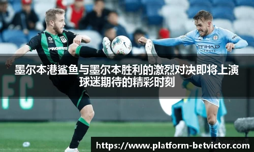 韦德体育