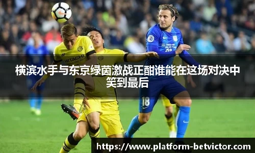 韦德体育官网