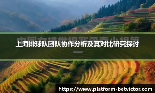 韦德体育